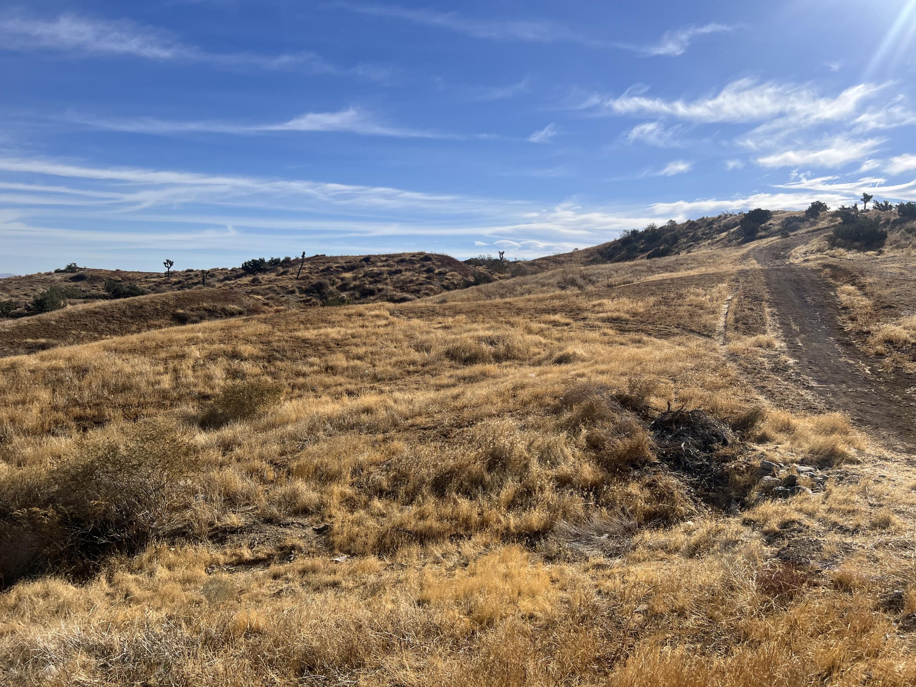 Barrel Springs Road Road | Similar Property Thumbnail