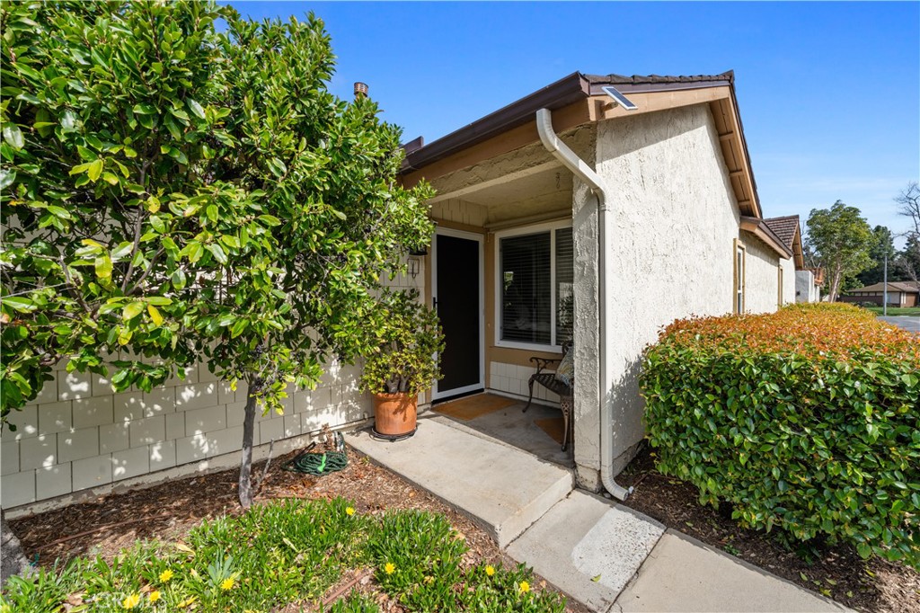 43 Lemon Grove | Similar Property Thumbnail