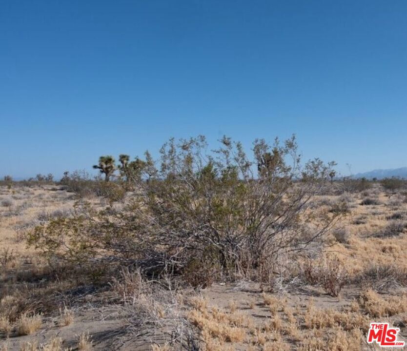 0 Tumbleweed | Similar Property Thumbnail