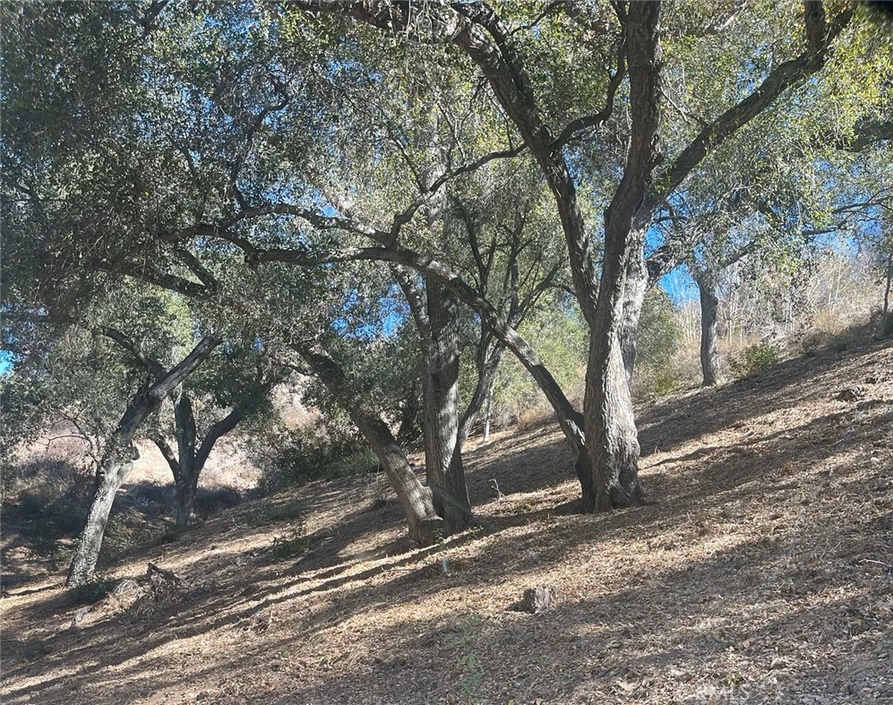 0 Stewart Canyon Road | Similar Property Thumbnail