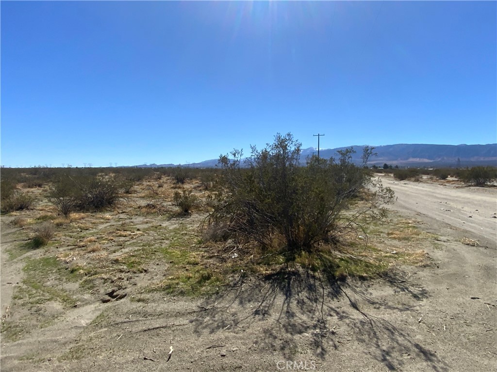 2975 Yucca Terrace | Similar Property Thumbnail